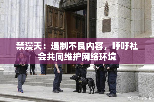 禁漫天：遏制不良内容，呼吁社会共同维护网络环境