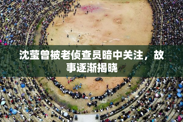 沈莹曾被老侦查员暗中关注，故事逐渐揭晓