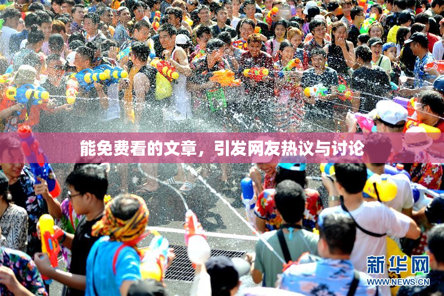 能免费看的文章，引发网友热议与讨论