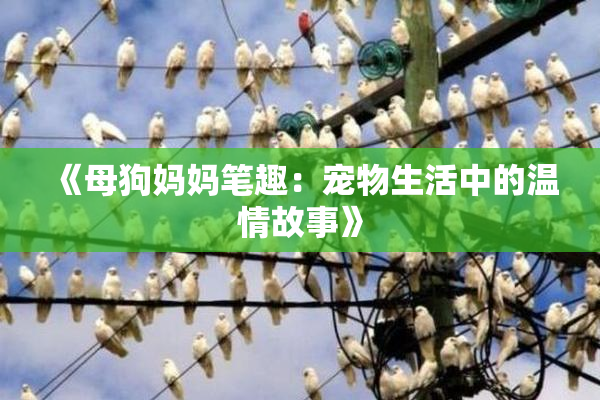 《母狗妈妈笔趣：宠物生活中的温情故事》