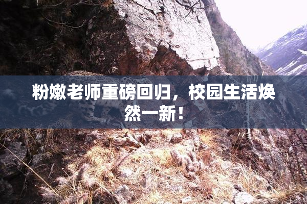 粉嫩老师重磅回归，校园生活焕然一新！