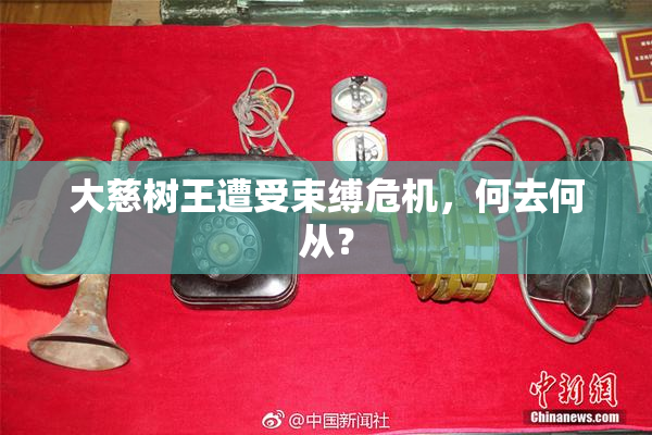 大慈树王遭受束缚危机，何去何从？