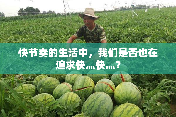 快节奏的生活中，我们是否也在追求快灬快灬？