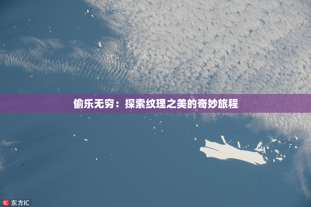 偷乐无穷：探索纹理之美的奇妙旅程