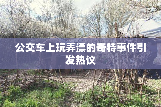 公交车上玩弄漂的奇特事件引发热议