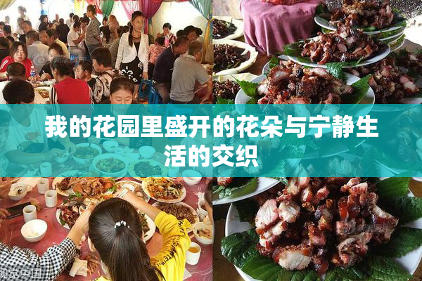 我的花园里盛开的花朵与宁静生活的交织