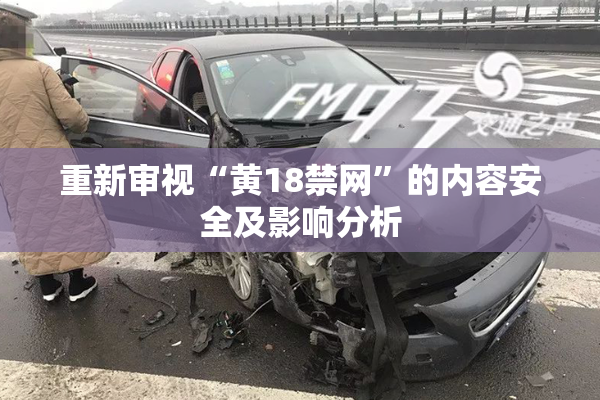 重新审视“黄18禁网”的内容安全及影响分析
