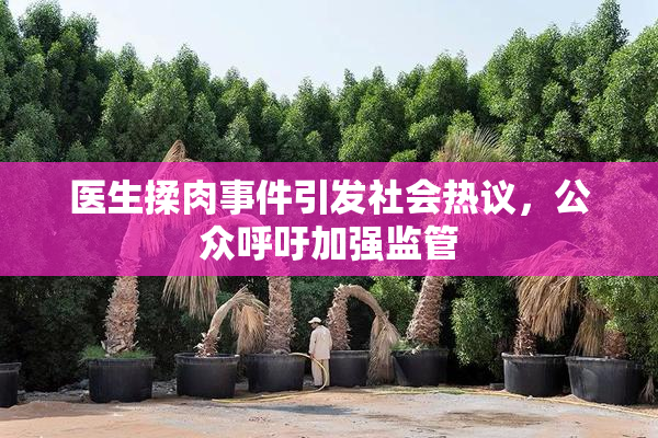 医生揉肉事件引发社会热议，公众呼吁加强监管
