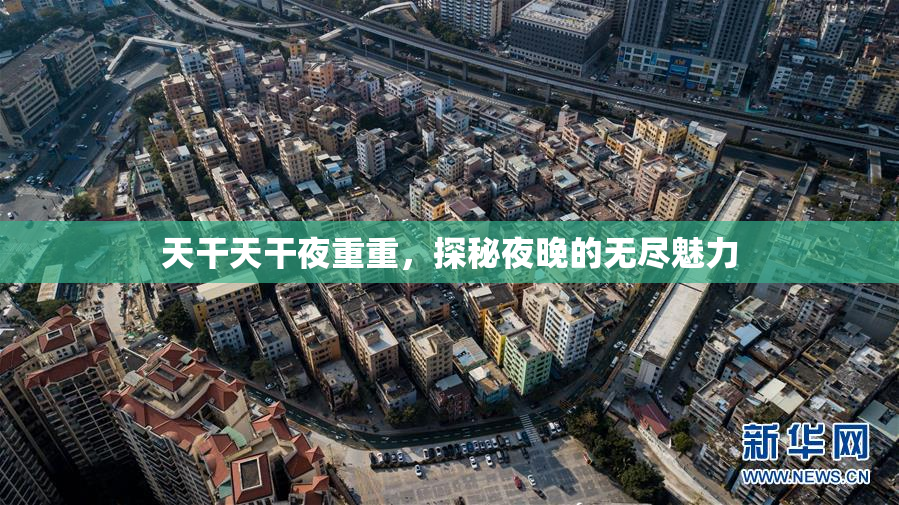 天干天干夜重重，探秘夜晚的无尽魅力