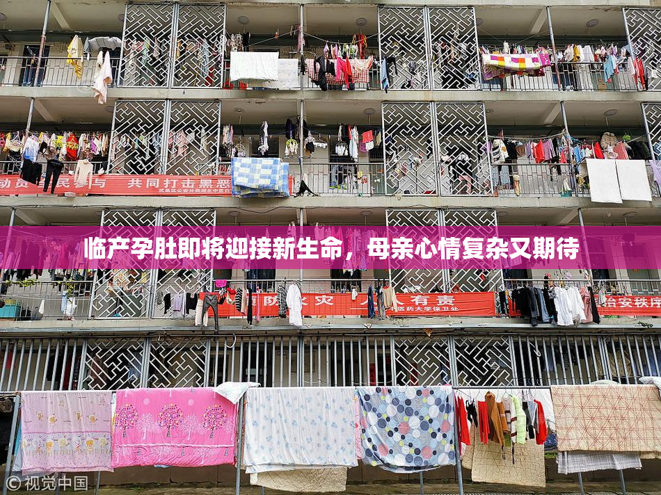 临产孕肚即将迎接新生命，母亲心情复杂又期待