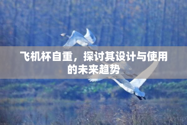飞机杯自重，探讨其设计与使用的未来趋势