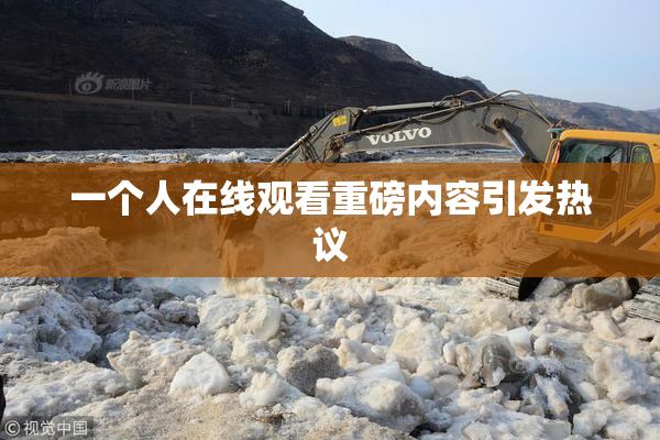 一个人在线观看重磅内容引发热议