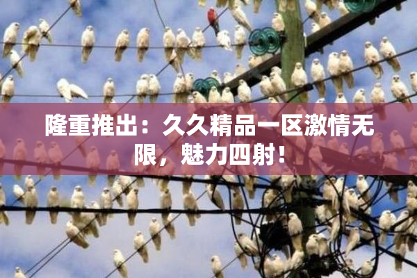 隆重推出：久久精品一区激情无限，魅力四射！