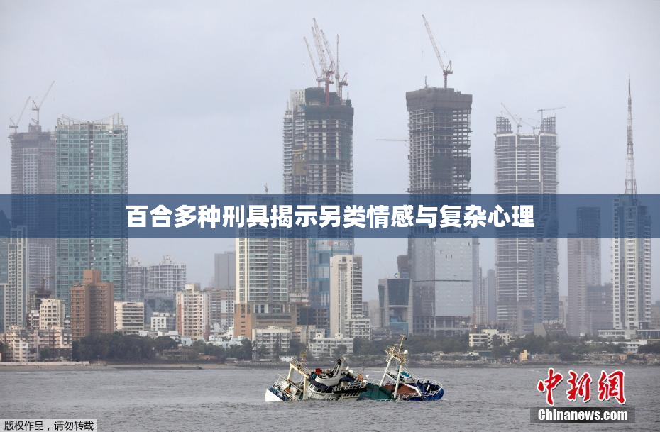百合多种刑具揭示另类情感与复杂心理