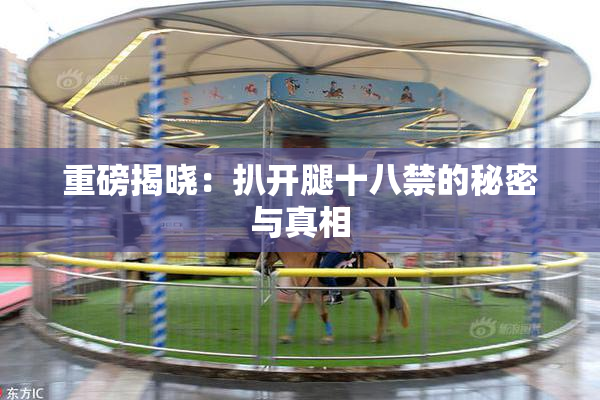 重磅揭晓：扒开腿十八禁的秘密与真相