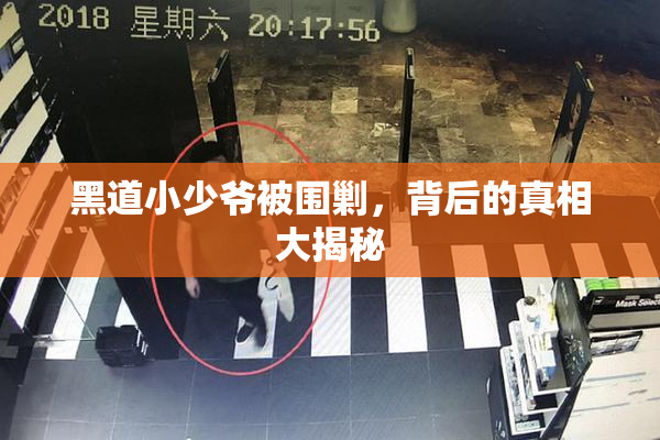 黑道小少爷被围剿，背后的真相大揭秘