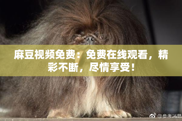 麻豆视频免费：免费在线观看，精彩不断，尽情享受！