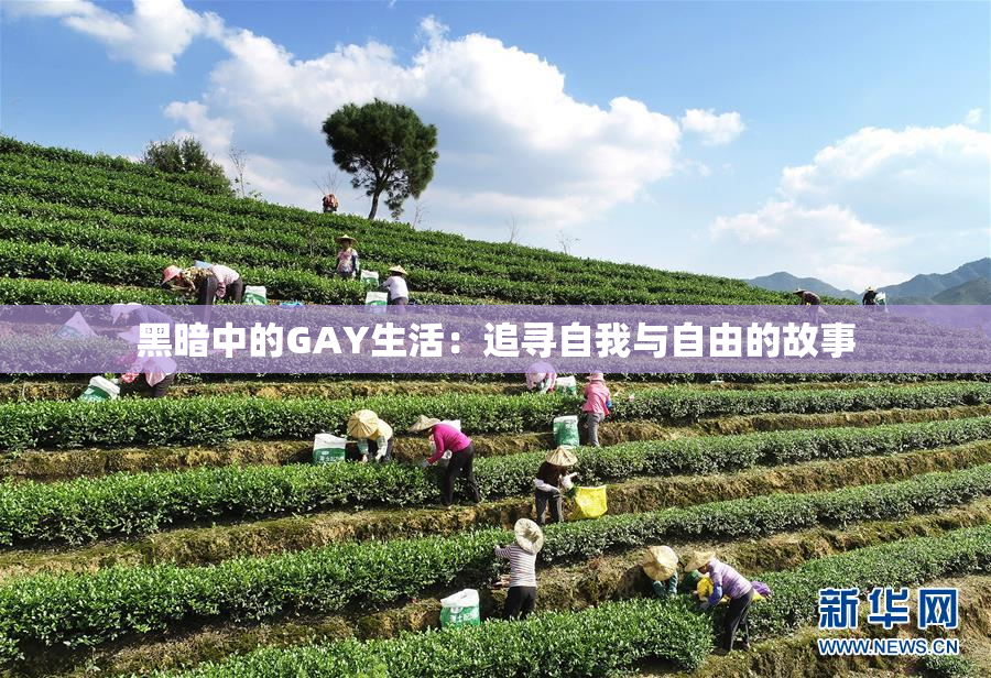 黑暗中的GAY生活：追寻自我与自由的故事
