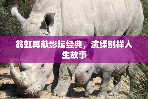 翁虹再献影坛经典，演绎别样人生故事