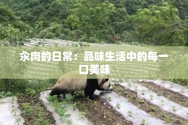 汆肉的日常：品味生活中的每一口美味
