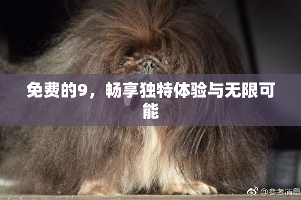 免费的9，畅享独特体验与无限可能