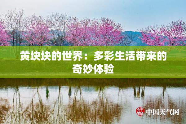 黄块块的世界：多彩生活带来的奇妙体验