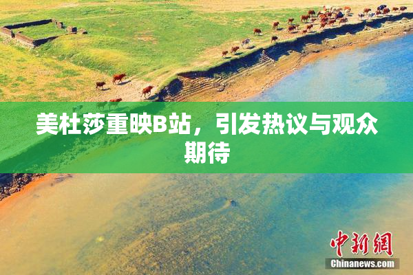 美杜莎重映B站，引发热议与观众期待