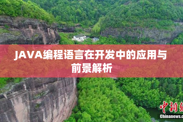 JAVA编程语言在开发中的应用与前景解析