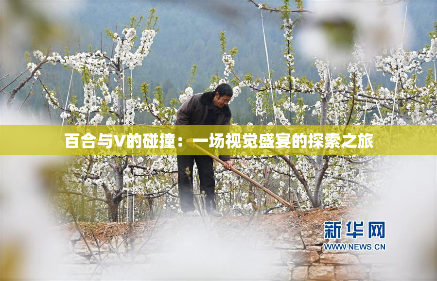 百合与V的碰撞：一场视觉盛宴的探索之旅
