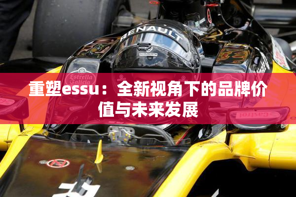 重塑essu：全新视角下的品牌价值与未来发展