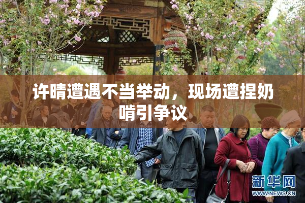 许晴遭遇不当举动，现场遭捏奶啃引争议