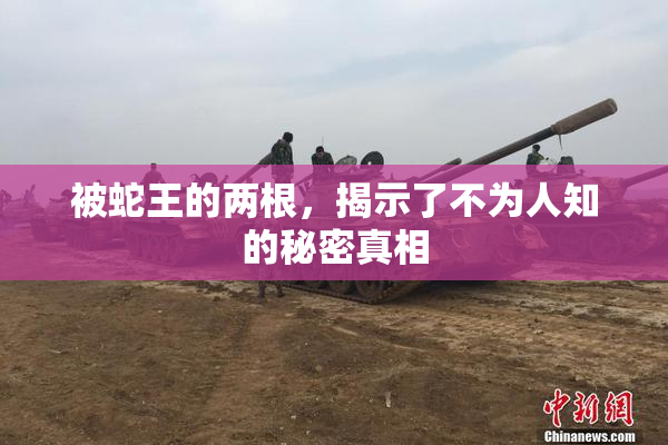 被蛇王的两根，揭示了不为人知的秘密真相