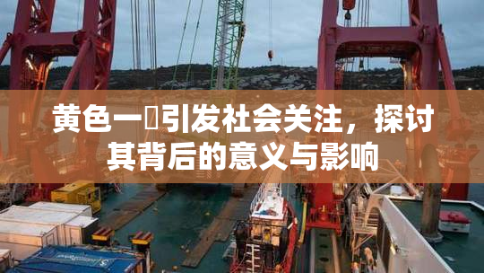 黄色一級引发社会关注，探讨其背后的意义与影响