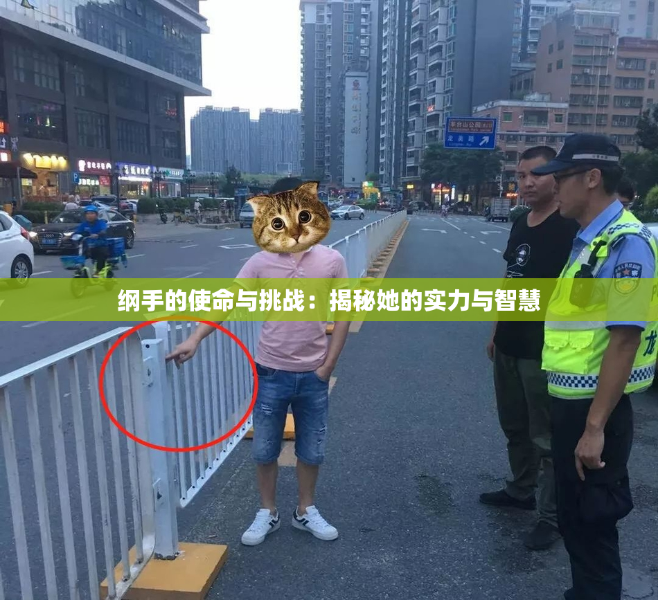 纲手的使命与挑战：揭秘她的实力与智慧