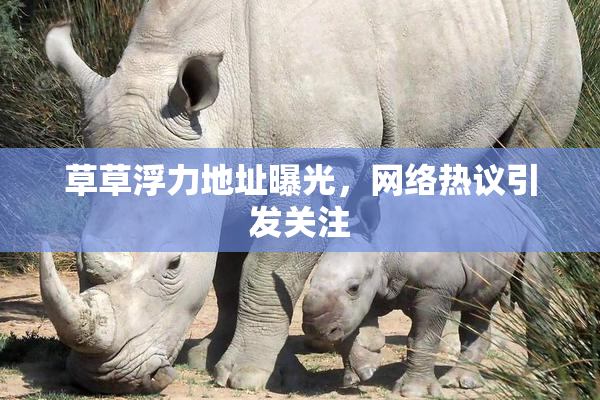 草草浮力地址曝光，网络热议引发关注