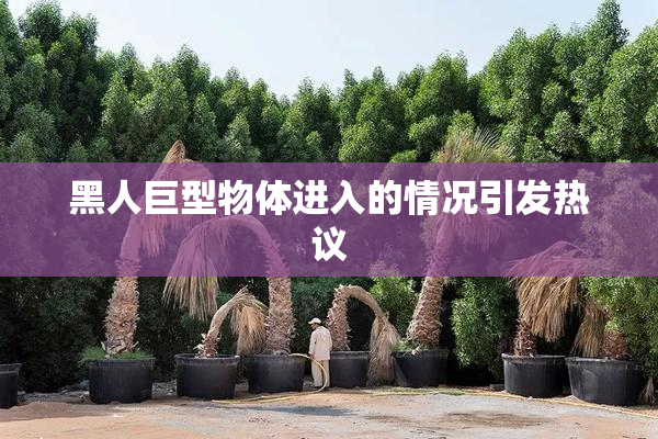 黑人巨型物体进入的情况引发热议