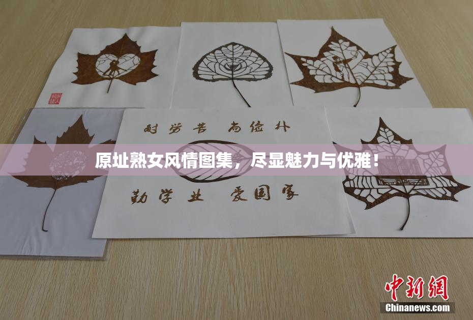 原址熟女风情图集，尽显魅力与优雅！