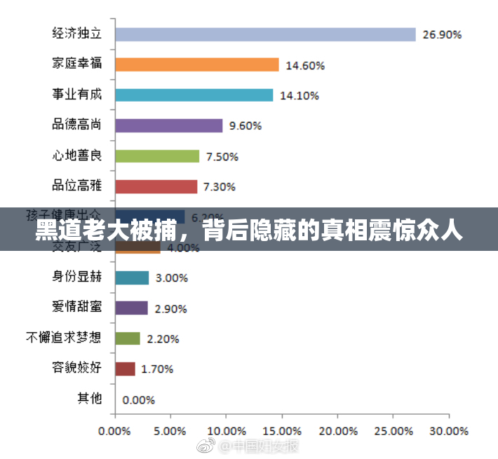 黑道老大被捕，背后隐藏的真相震惊众人