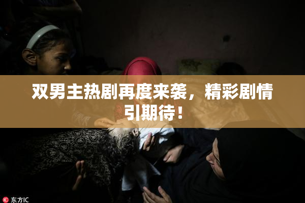 双男主热剧再度来袭，精彩剧情引期待！