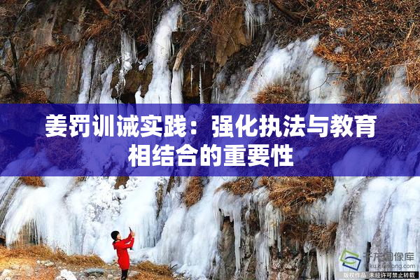 姜罚训诫实践：强化执法与教育相结合的重要性