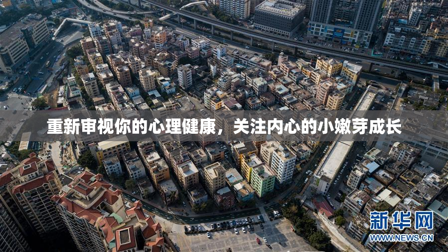 重新审视你的心理健康，关注内心的小嫩芽成长