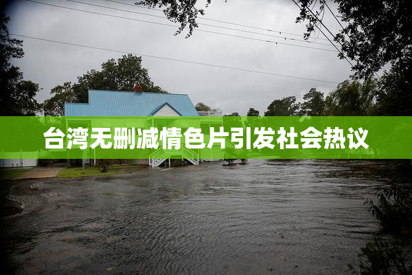 台湾无删减情色片引发社会热议