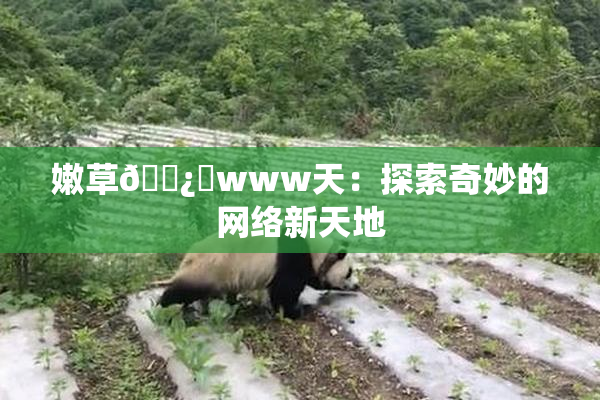嫩草🌿‌www天：探索奇妙的网络新天地