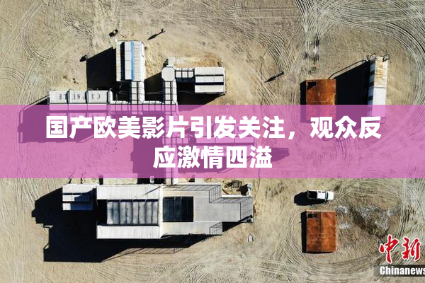 国产欧美影片引发关注，观众反应激情四溢
