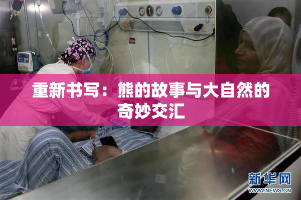 重新书写：熊的故事与大自然的奇妙交汇