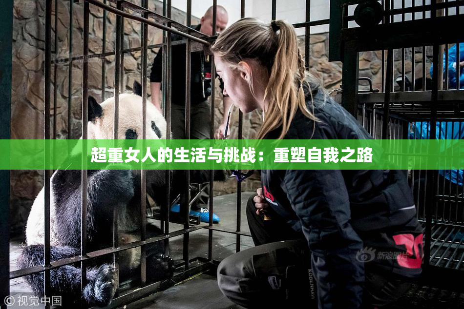 超重女人的生活与挑战：重塑自我之路