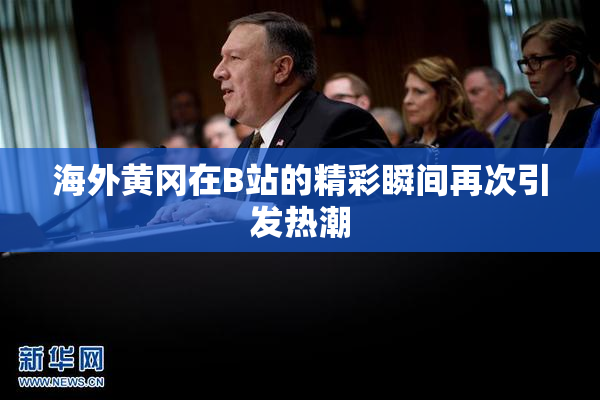 海外黄冈在B站的精彩瞬间再次引发热潮