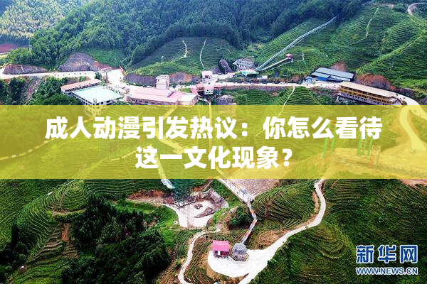 成人动漫引发热议：你怎么看待这一文化现象？