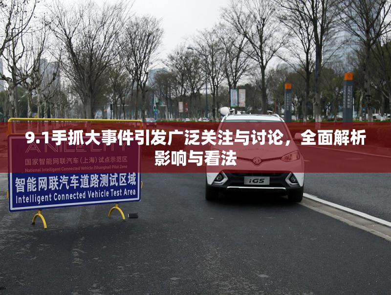9.1手抓大事件引发广泛关注与讨论，全面解析影响与看法