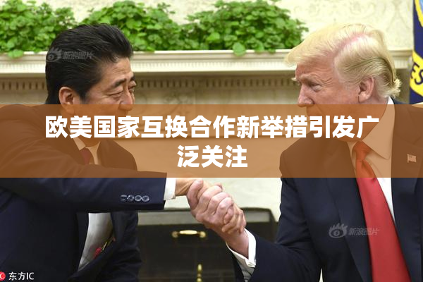 欧美国家互换合作新举措引发广泛关注